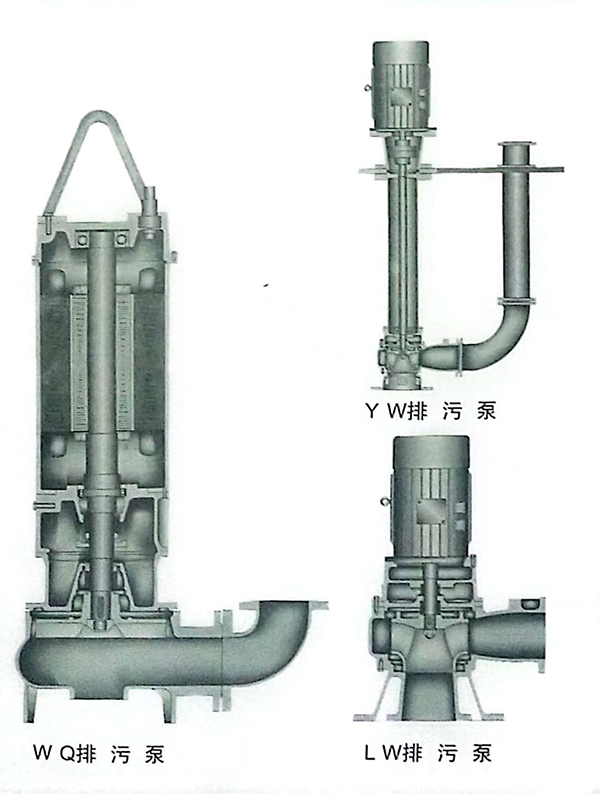 1690163528332592.jpg WQpoumiantu.jpg